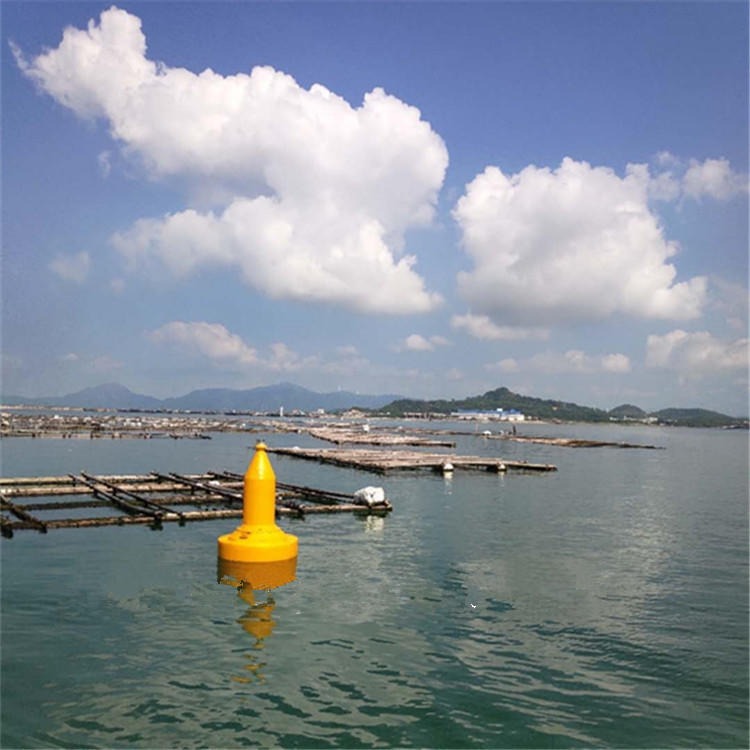 水面导航助航浮标 海洋浮标 游艇系泊浮标
