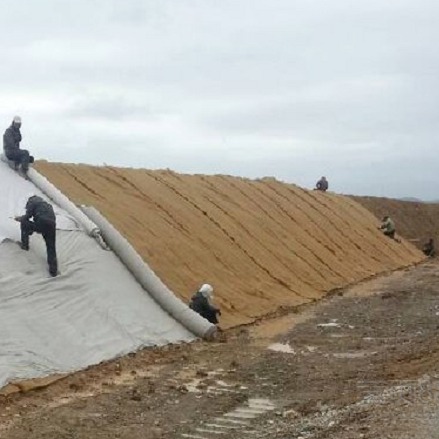 鼎诺椰丝垫-欢迎订购山东厂家生产绿化护坡专用椰丝植被垫