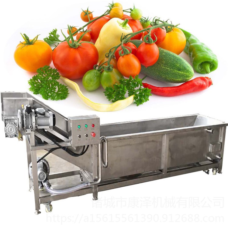 康泽供应SZ3000型气泡式蓝莓清洗机 生菜清洗机 新鲜蔬菜清洗设备图片
