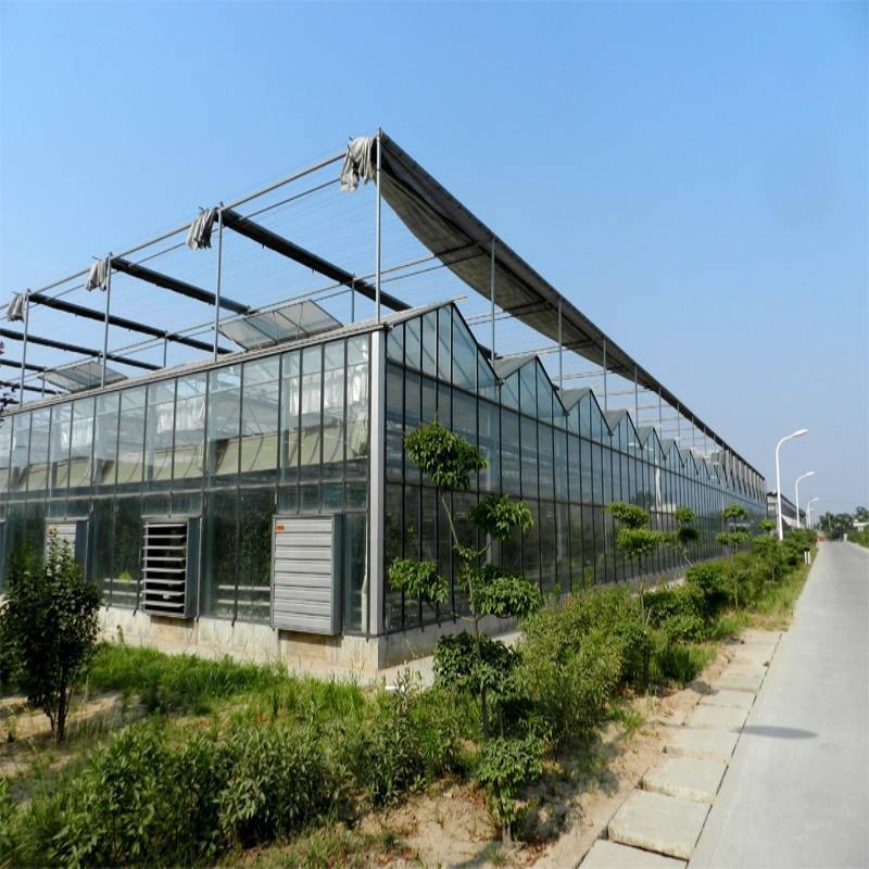 博伟 玻璃智能温室 玻璃温室 玻璃温室大棚工程建设