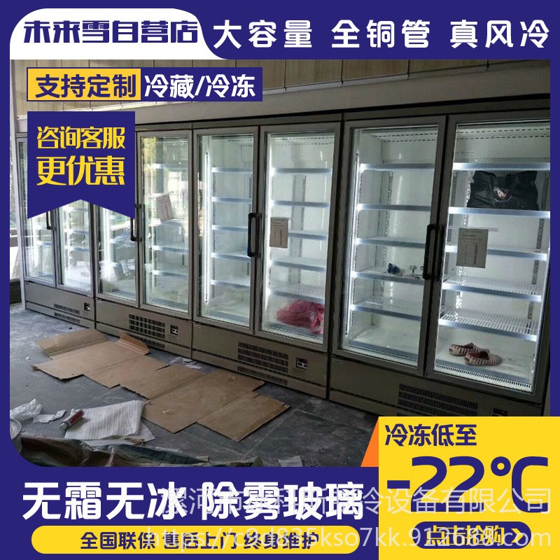 冰科斯-WLX-LSLD-09广州立式三门冷冻柜-立式冷冻展示柜-三层玻璃冷冻柜图片