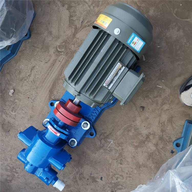 华海泵业 KCB-55不锈钢齿轮泵 双向齿轮回油泵 源头厂家图片