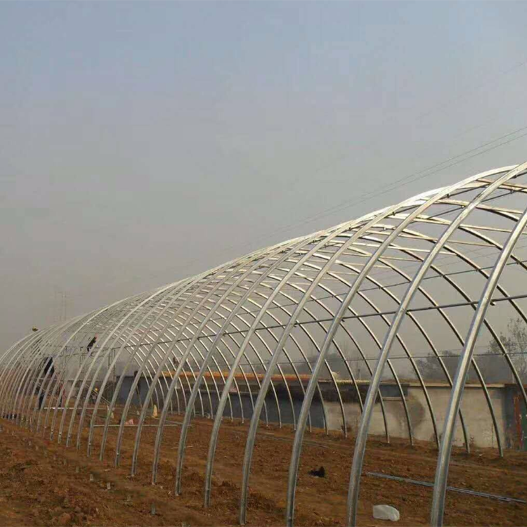 丞昊农业供应 钢结构大棚 蓝莓种植 几字钢大棚 专业设计