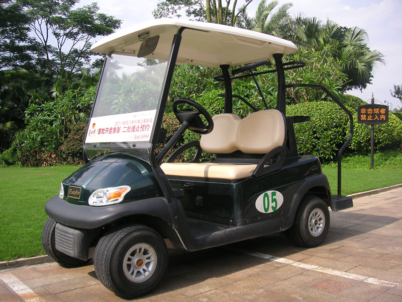 利凯士得节能环保两座电动高尔夫球车示例图2