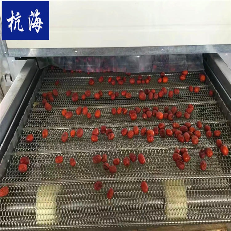 杭海机械 大枣烘干机 烘干设备 烘干机生产厂家