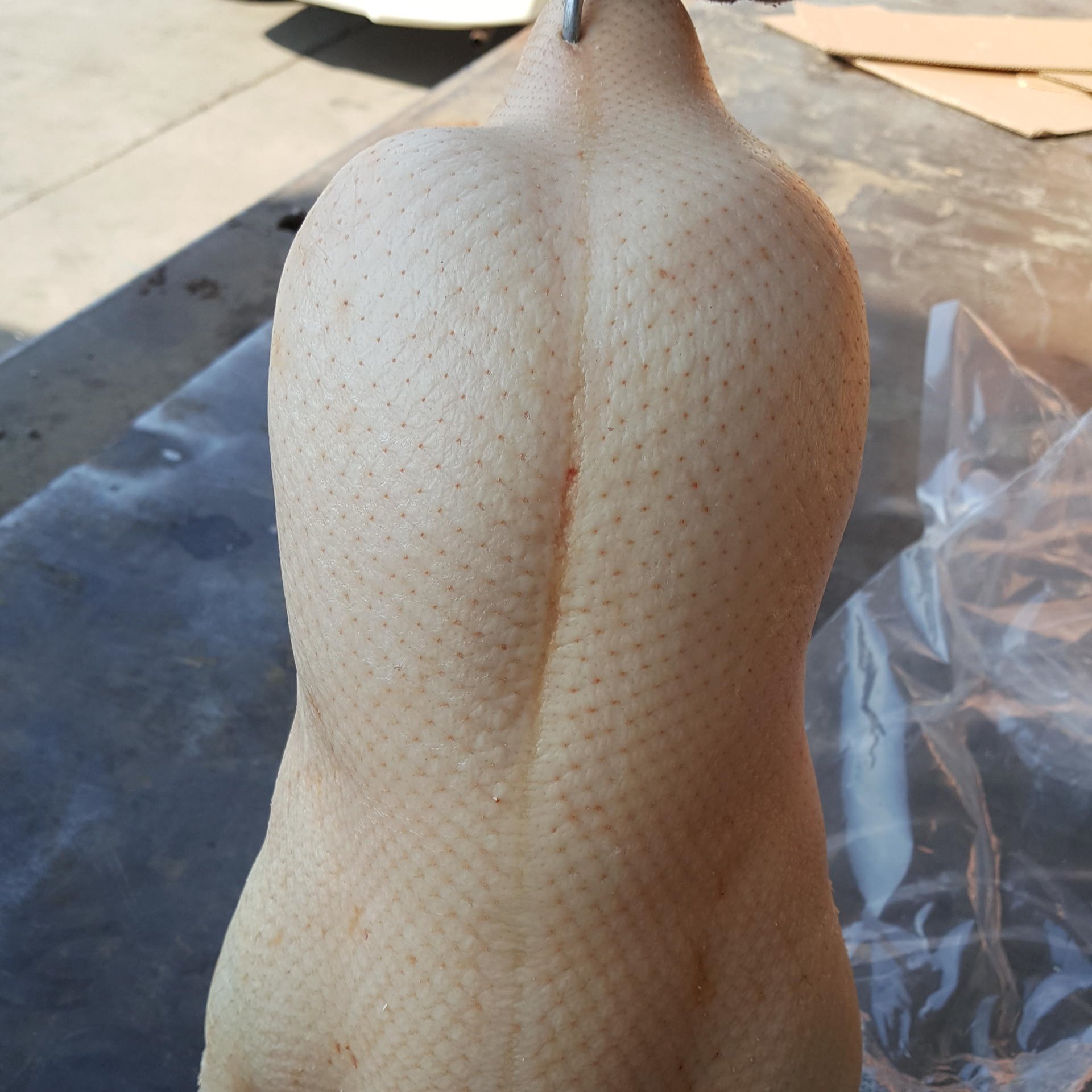 鸭胚厂家直销冷冻鸭坯四系北京填鸭胚樱桃谷鸭坯配送