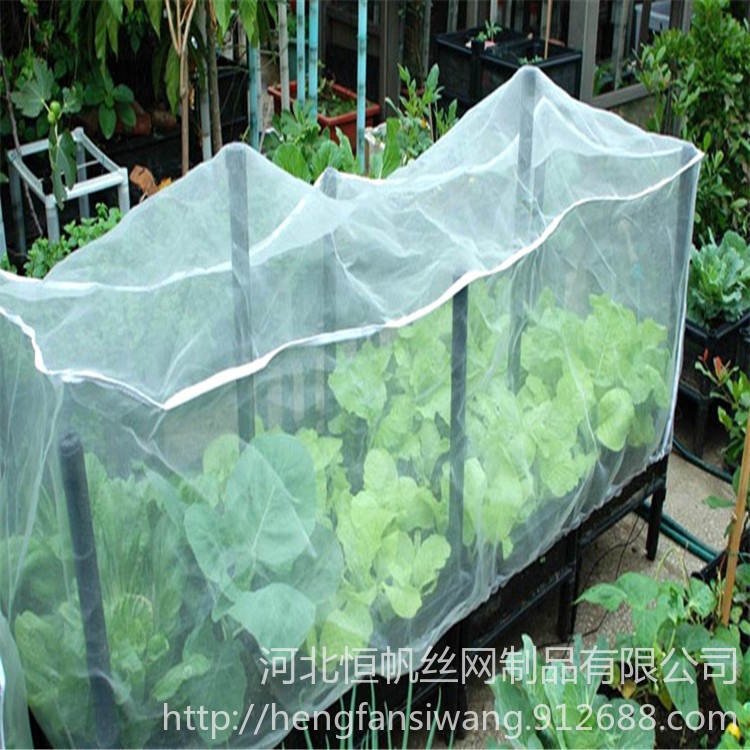 广西防虫网  聚乙烯防虫覆盖网  大棚蔬菜防虫网