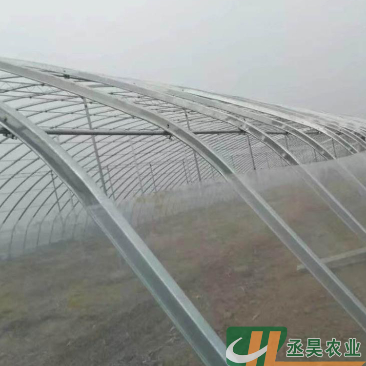 丞昊农业供应 钢结构大棚 草莓种植 几字钢日光温室 专业设计