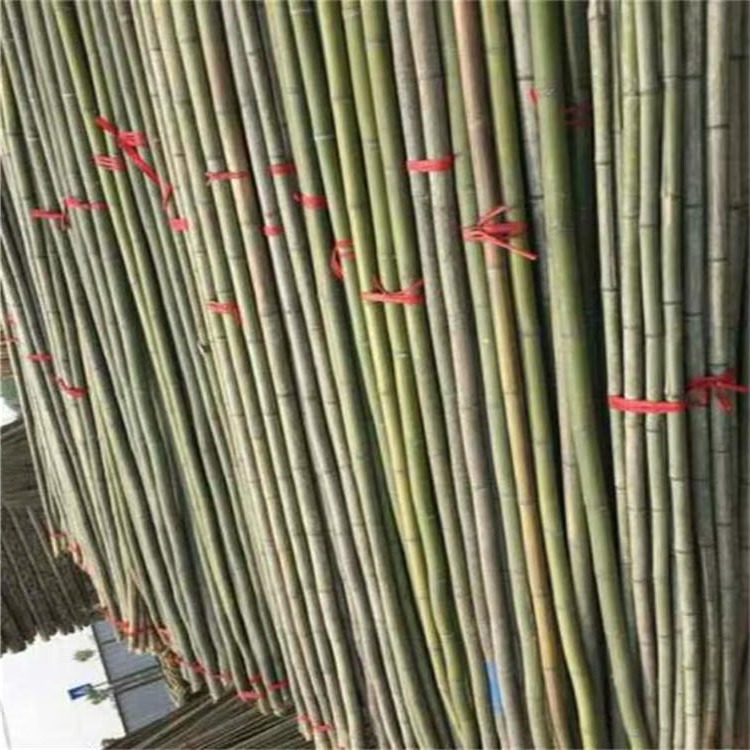 山东温室搭棚用竹竿 6米大棚竹子规格可定制