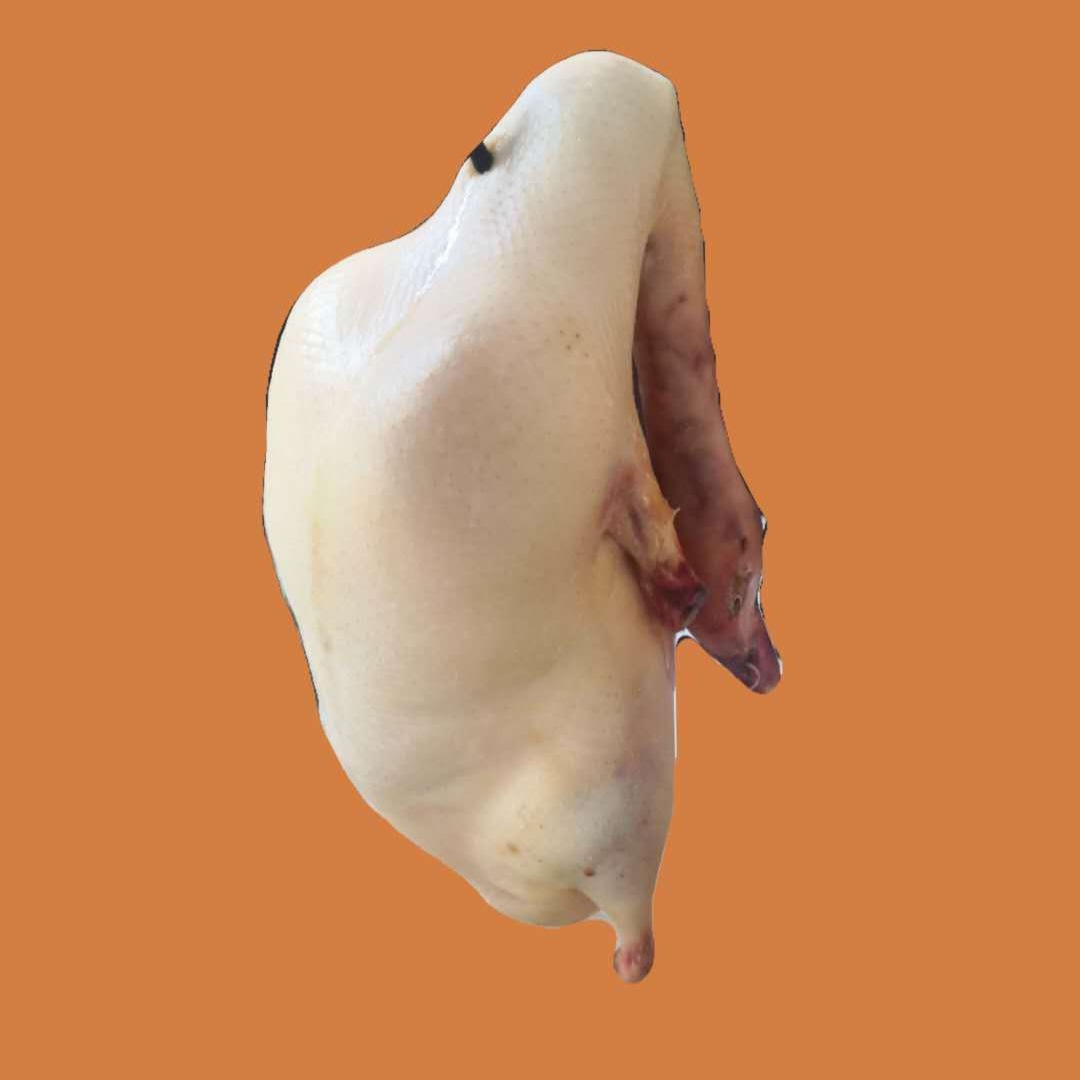 北京烤鸭胚厂家专业配送及一站式购齐 3.0-5.5斤樱桃谷 四系鸭坯各个型号齐全