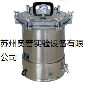 滨江小型高压蒸汽灭菌不锈钢手提式煤电两用高压力消毒锅YX-12LM示例图2