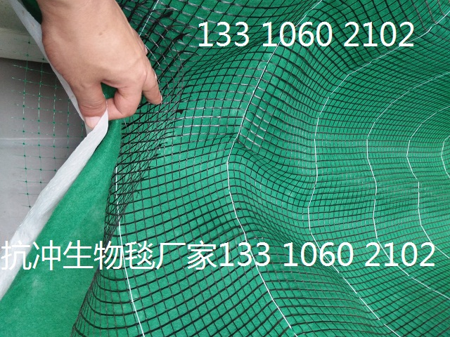绿化生态毯 植物纤维毯  边坡绿化椰丝毯 生态植被毯 植物纤维毯 抗冲生物毯 抗冲生态毯示例图2