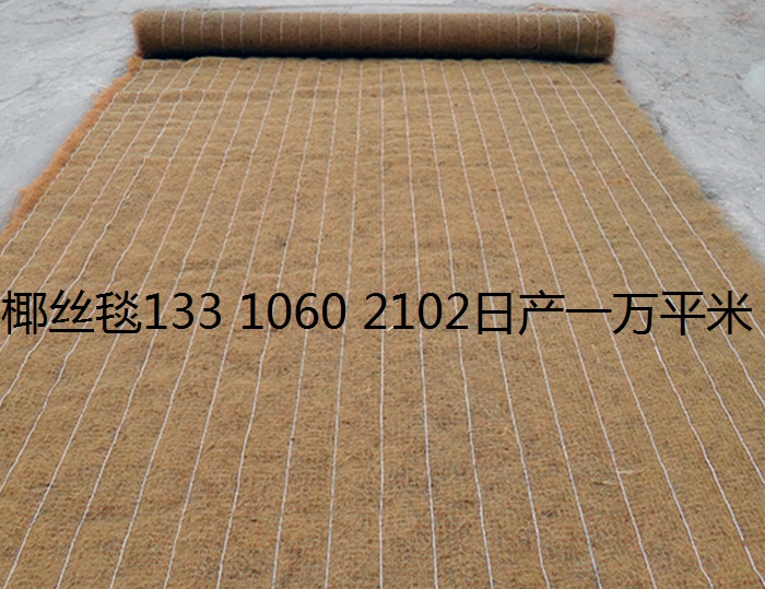 加筋植生毯 植物纤维毯 环保草毯示例图6