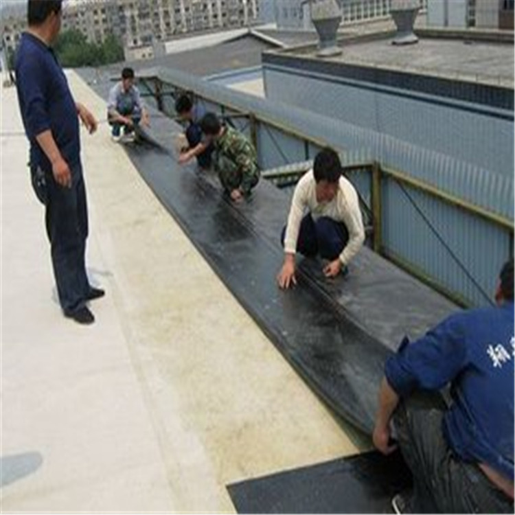 产地货源 三元乙丙橡胶卷材 外墙屋顶防水专用示例图13