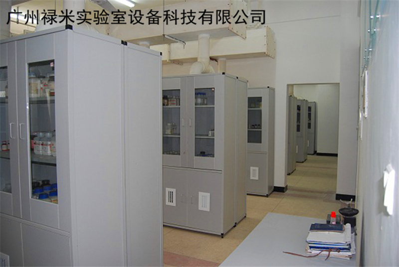 广东实验室试剂柜生产厂家示例图4