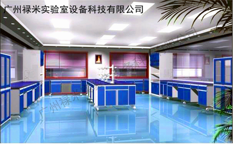 广东广州全钢实验室家具 实验台 边台涤池 角柜生产厂家_通风柜示例图2