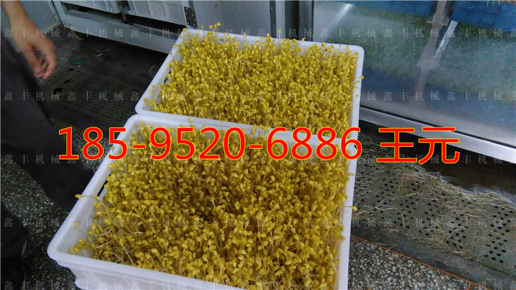辽宁豆芽机厂家 家用豆芽机怎么用 全自动大型豆芽机示例图1