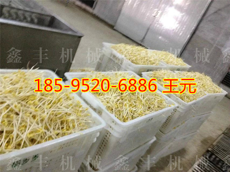 辽宁豆芽机厂家 家用豆芽机怎么用 全自动大型豆芽机示例图3