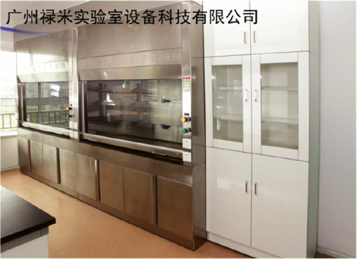 实验室专用设备 耐酸碱通风柜 不锈钢通风柜 可定制 广州禄米实验室设备示例图2