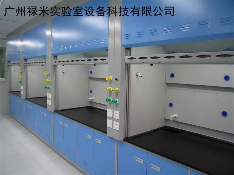 广州全钢通风柜，PP通风柜，厂家特价直销 禄米实验室设备示例图1