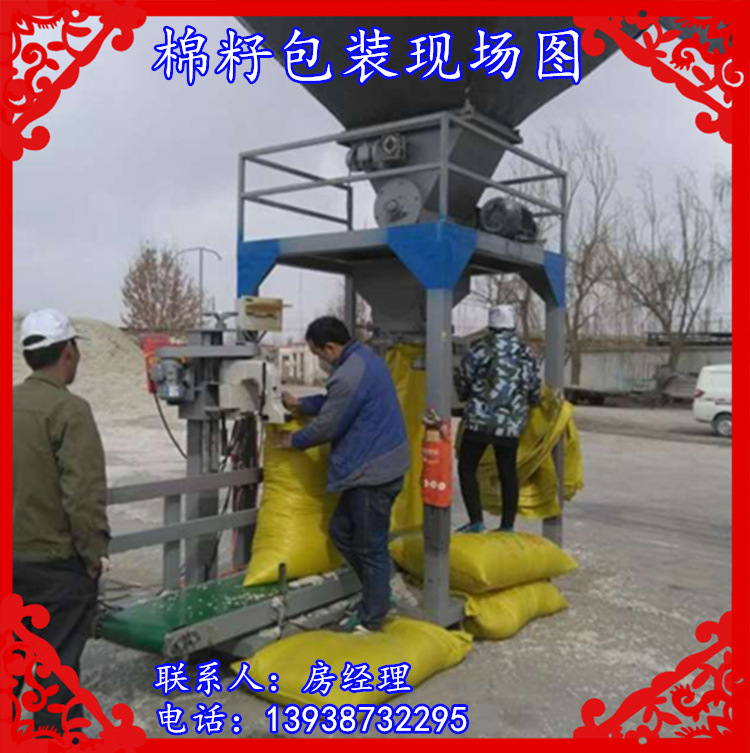 称重式灌装机 自动计量20-60公斤 化肥颗粒物定量装袋示例图11
