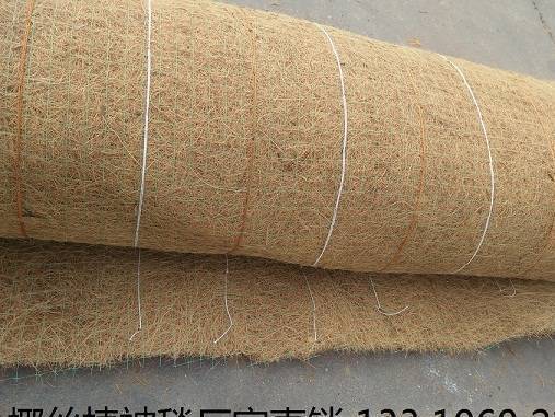 椰丝毯-植物纤维毯示例图1