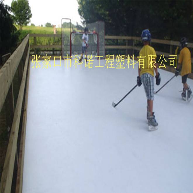 北京人造滑冰场投资项目仿真溜冰场体育馆示例图2
