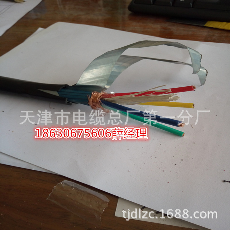 KFFRP22 KFVRP22氟塑料耐高温多心控制电缆 钢带铠装示例图8