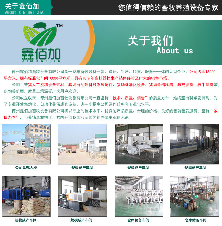 82058706.jpg 详情页通用模板A (1).jpg