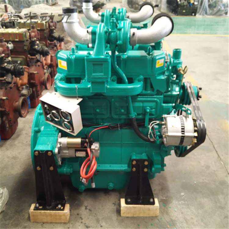潍柴R4105Y4柴油机 带气泵转向助力泵图片
