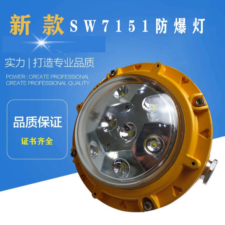 洲创电气SW7151节能型LED防爆泛光灯50W 隔爆型巷道防爆灯 船厂工矿厂防爆灯