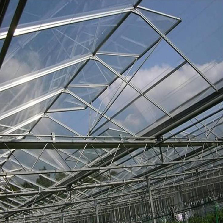 双层玻璃温室厂家 玻璃蔬菜温室大棚 纹络玻璃大棚厂家 博伟 BW
