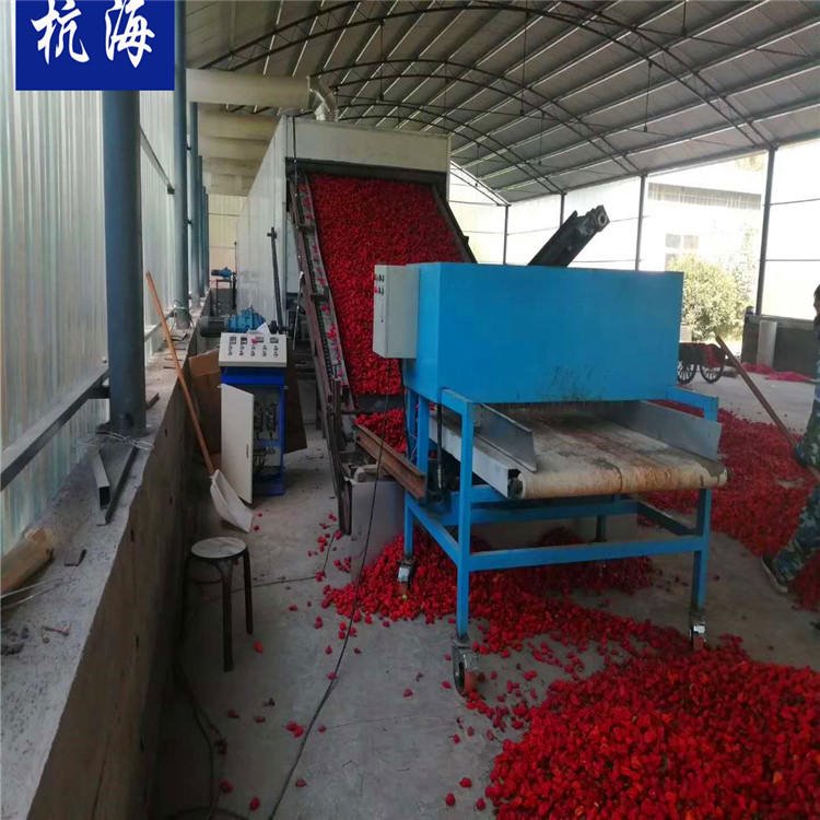 大型连续式网带烘干机 辣椒脱水设备 杭海机械 LJ-2300烘干机 厂家供应