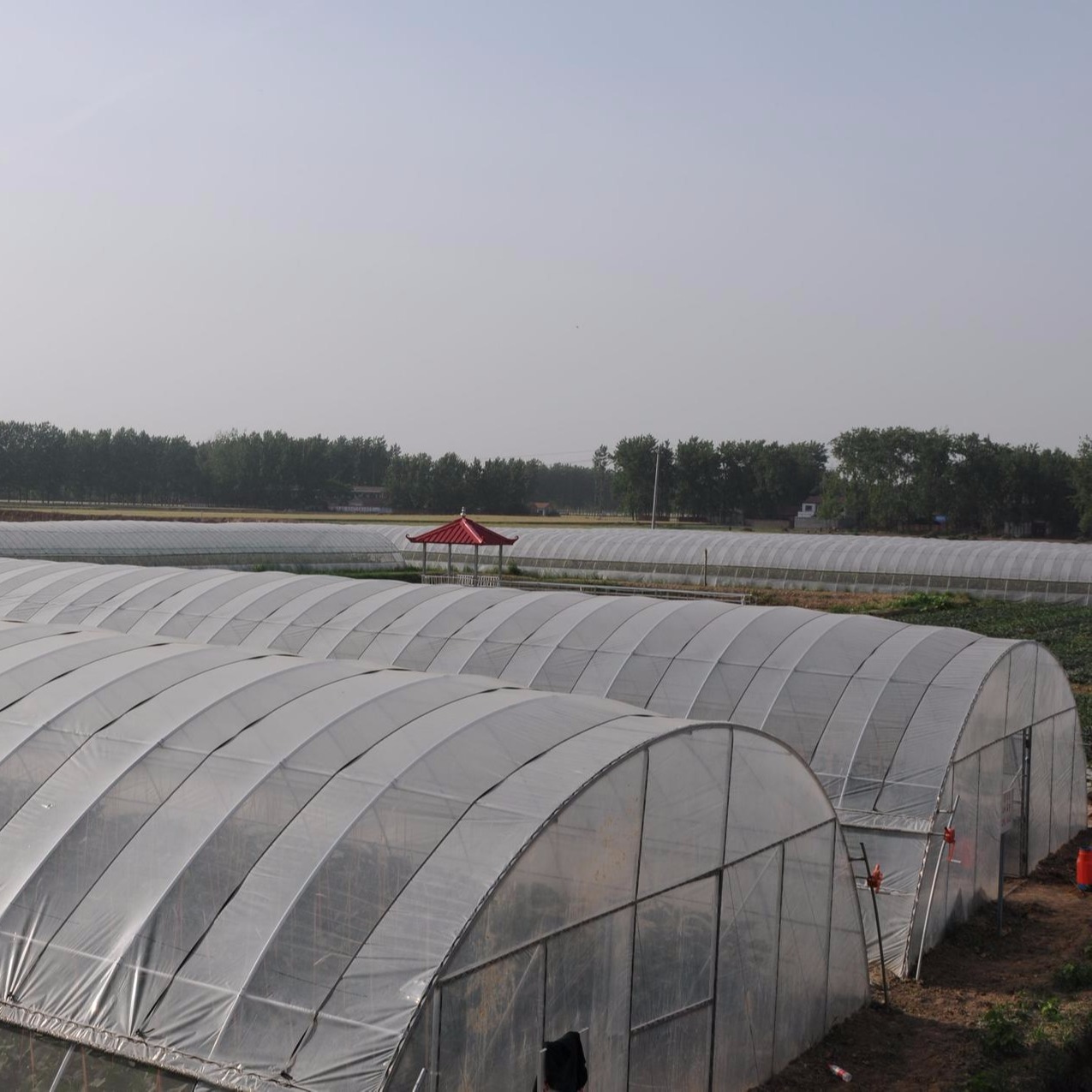 蔬菜种植大棚安装价格 包塑管钢架温室建设费用 棚 承接承建冬季暖棚1亩地