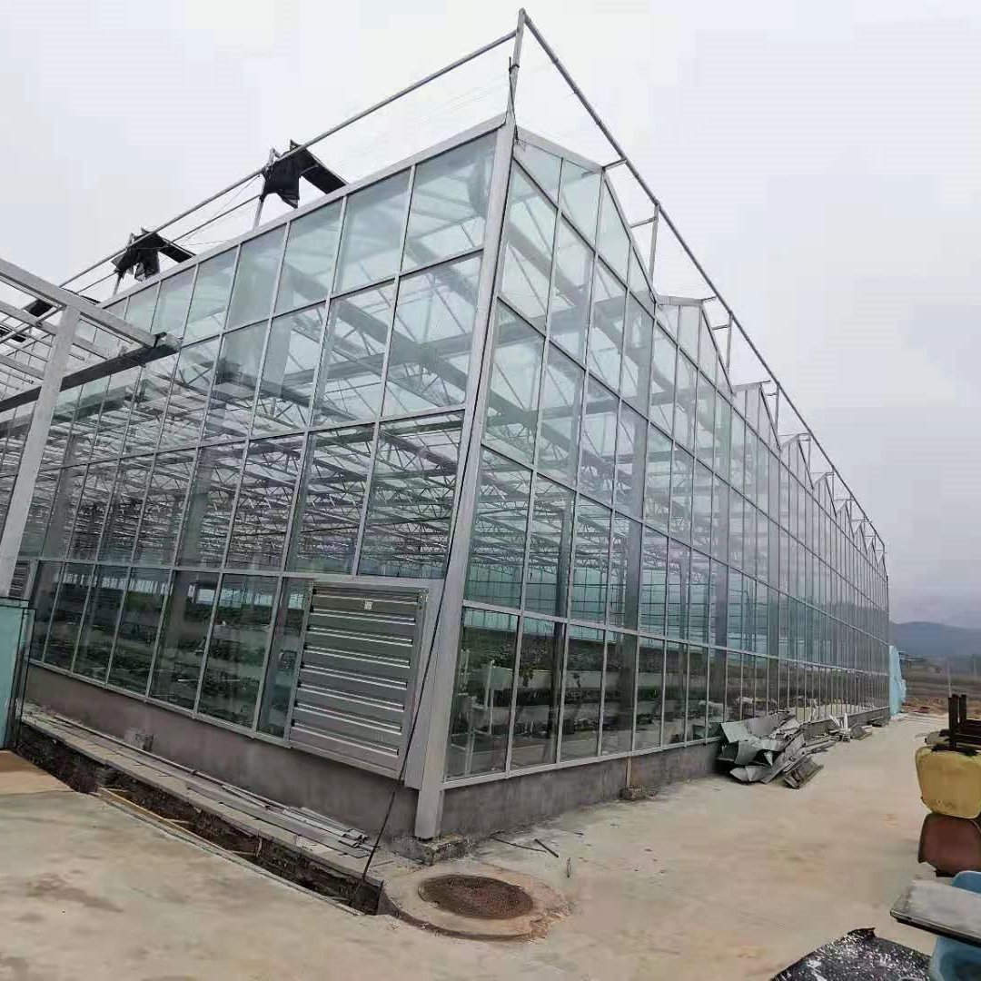 智能玻璃温室 花卉蔬菜温室大棚  智能温室大棚 舜禹温室厂家