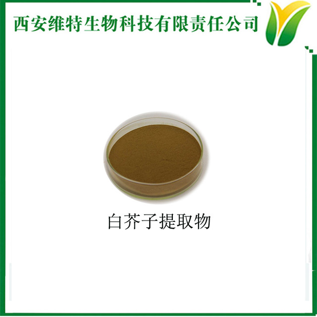 辣菜子提取物 提取比例5:1 白芥籽提取粉 白芥种子萃取粉 White mustard seed extract