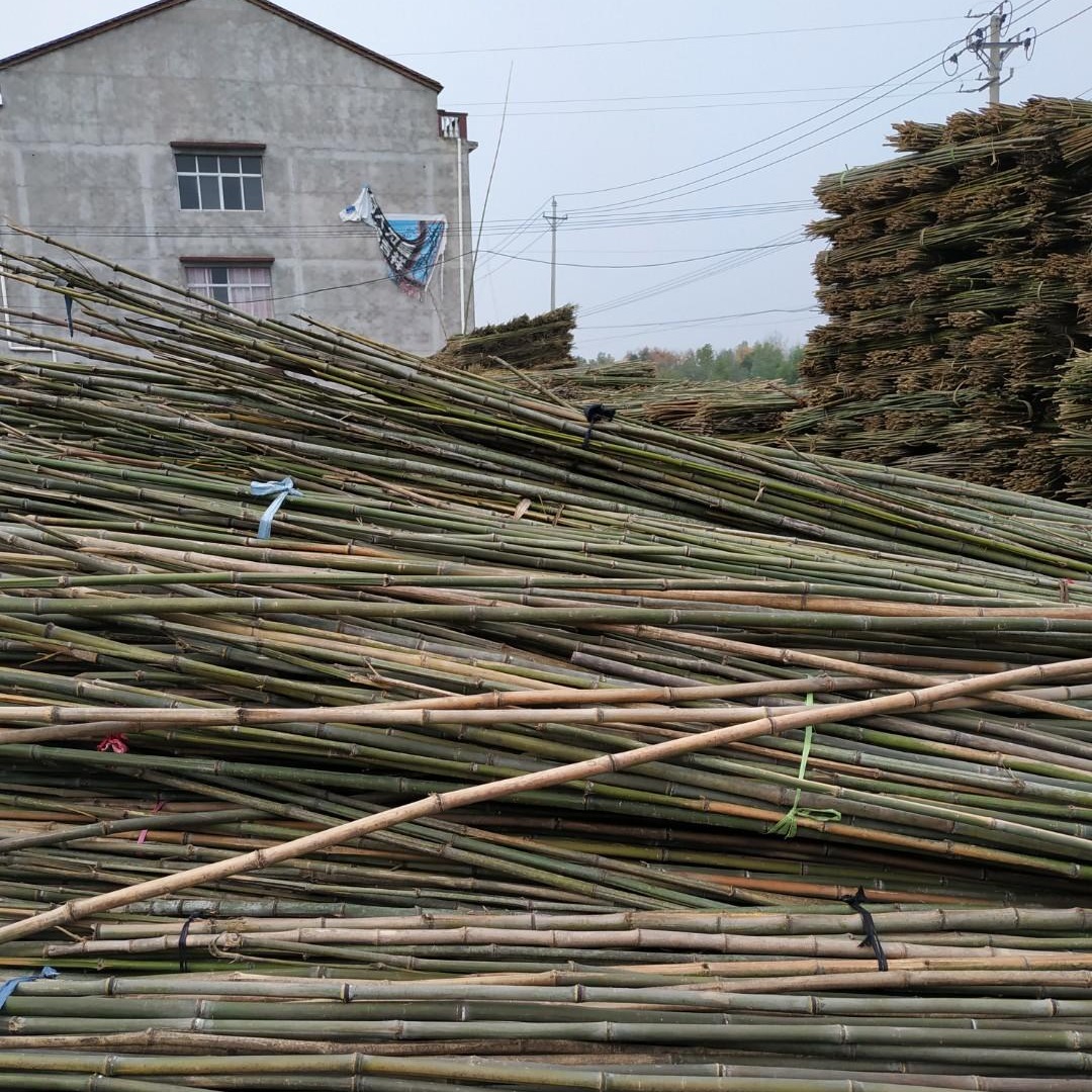 厂家现货农用大小竹杆 2米至3米短节山竹菜架竹 4-8米温室棚竹杆批发图片