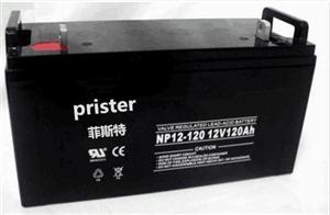 prister蓄电池NP12-200/12V200AH铅酸免维护UPS蓄电池示例图1
