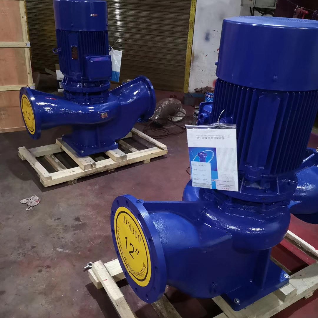 蓝升泵业ISG立式管道离心泵 单级单吸立式离心泵 不锈钢管道离心泵 ISG25-160立式离心泵