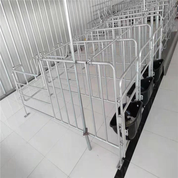育肥猪用定位栏图片 海丫养殖设备猪用落地式定位栏规格