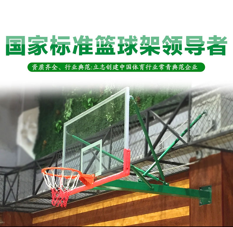 壁挂式篮球架标准户外篮球框室外家用训练成人蓝球架子儿童挂墙式示例图7