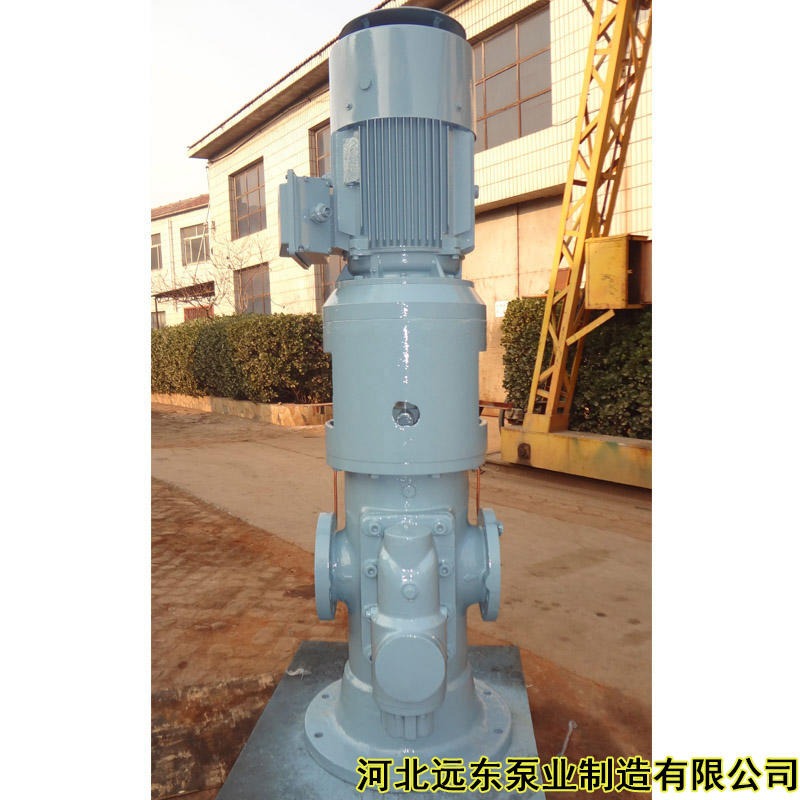SNS440R54E6.7W21立式三螺杆泵作为电厂燃油泵内卸油泵,磨煤机螺杆泵