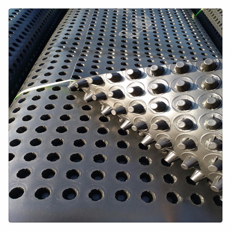 邳州排水板厂家 HDPE排水板价格 屋面种植滤水板 邳州塑料排水板 20蓄排水板图片