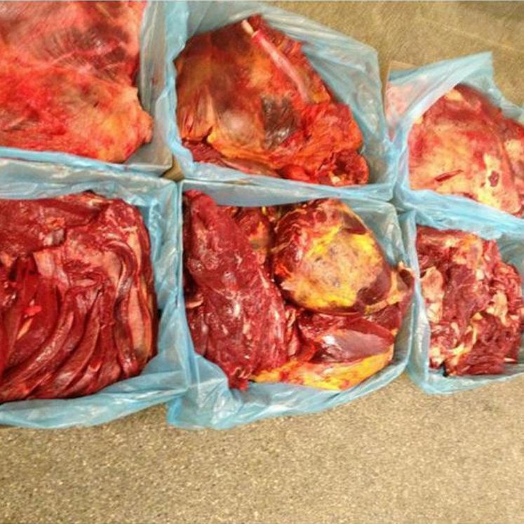 批量现货进口蒙古马肉天然草原放养活马屠宰新鲜马肉