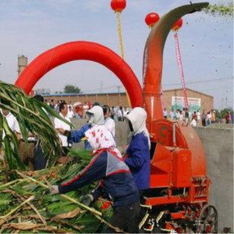 圣嘉新款水稻秸秆铡草机 花生秧铡切机 高粱杆铡草机生产厂家