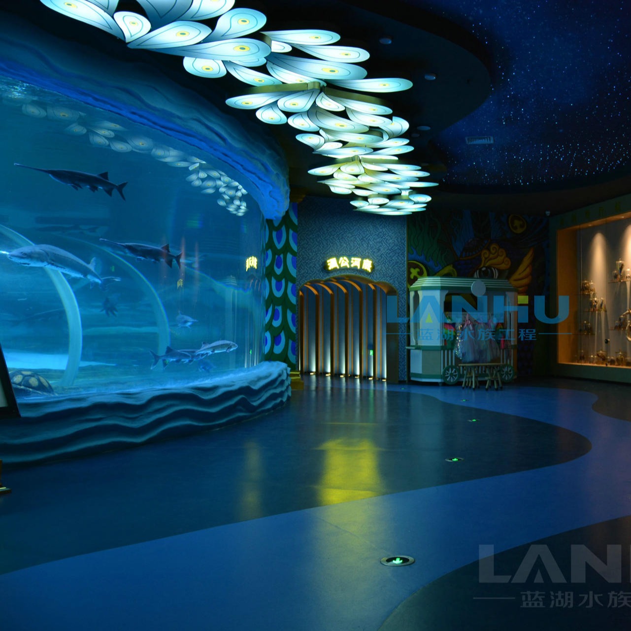 lanhu大型鱼缸 安装海洋馆设计施工维护 水族工程 亚克力鱼缸 圆柱鱼缸