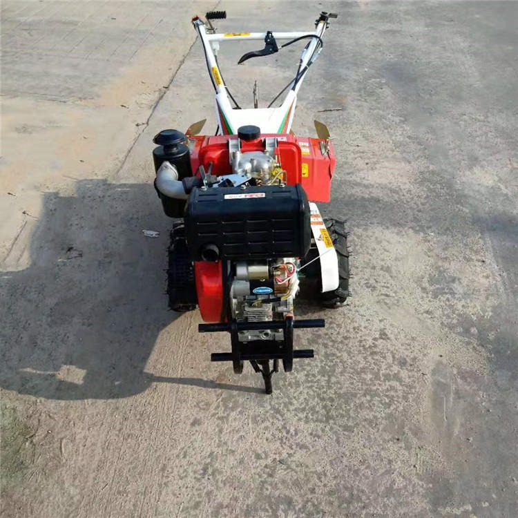 农用旋耕机 小型除草设备 农用旋耕机 手扶式种地机 果园山地平原用的犁地机图片