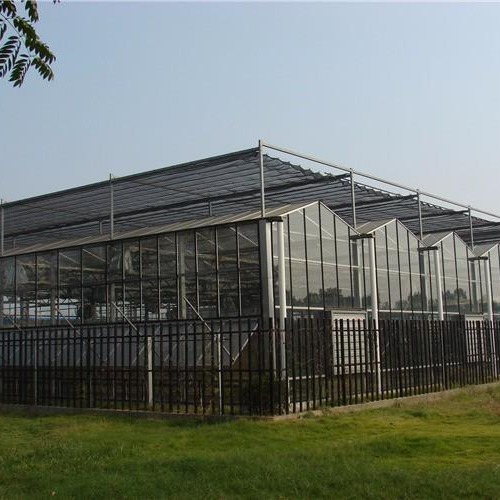 潍坊玻璃温室 玻璃温室大棚 花卉玻璃温室 温室大棚 博伟