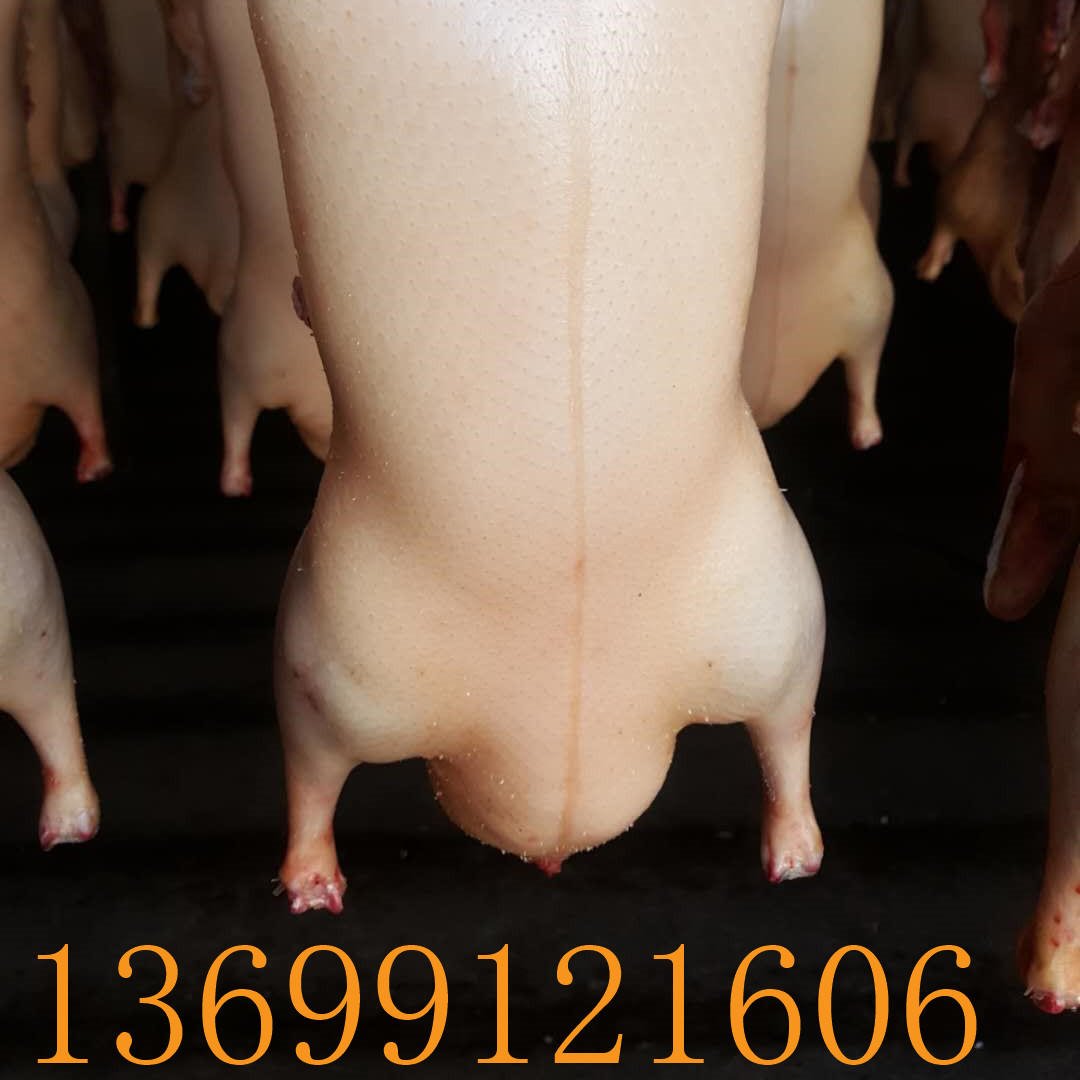 北京上海配送烤鸭坯四系鸭胚樱桃谷鸭坯