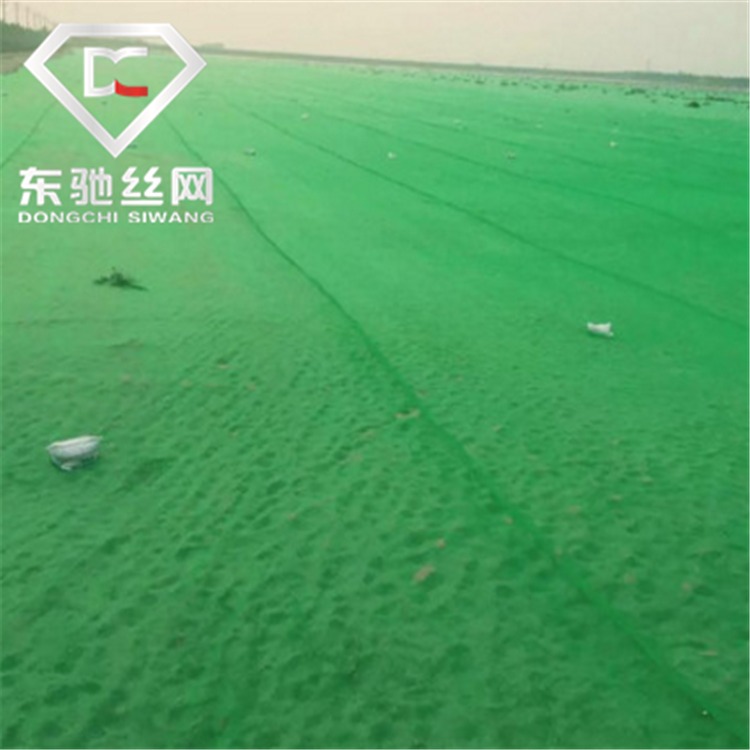 供应商生产 6.5针扁丝盖土网 公路盖土网 扁丝6.5针绿网 河北东驰